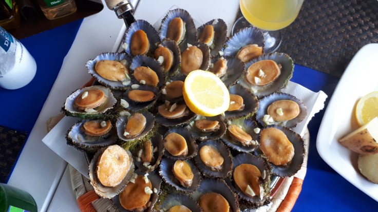 Lapas - Napfschnecken