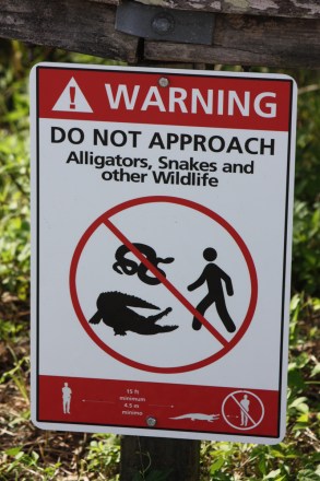 Florida Everglades Warnschild