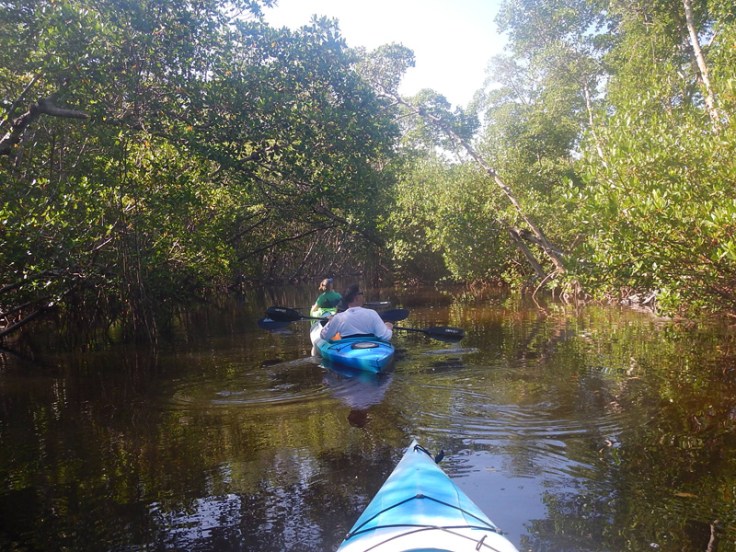 Florida Sanibel Kayak Ding Darling NP