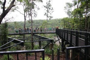 Kuranda Skyrail