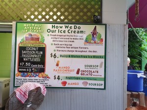 Cape Tribulation Daintree Icecream