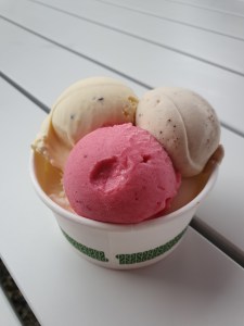 Cape Tribulation Daintree Icecream