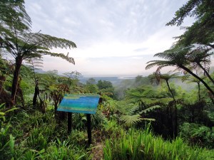 Cape Tribulation Alexandra Lookout