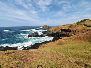Phillip Island The Nobbies Walk