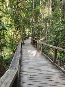 Fraser Island Central Station Walk