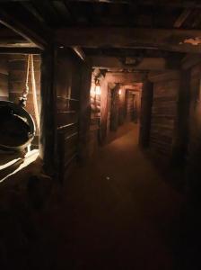 Ballarat Sovereign Hill Red Mine Tour