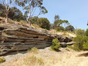 Tower Hill Reserve Vulkan