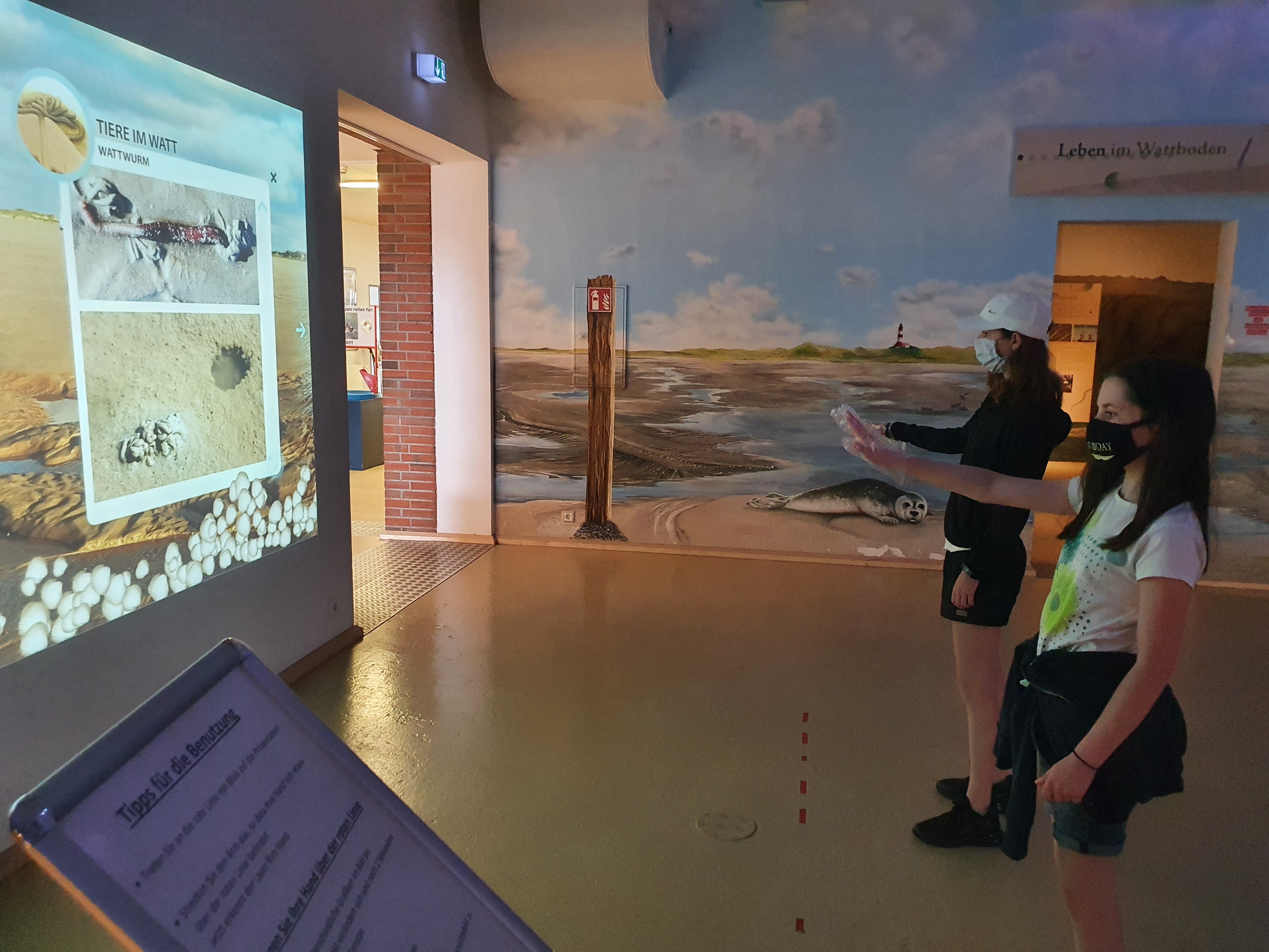 Norddeich Seehundstation