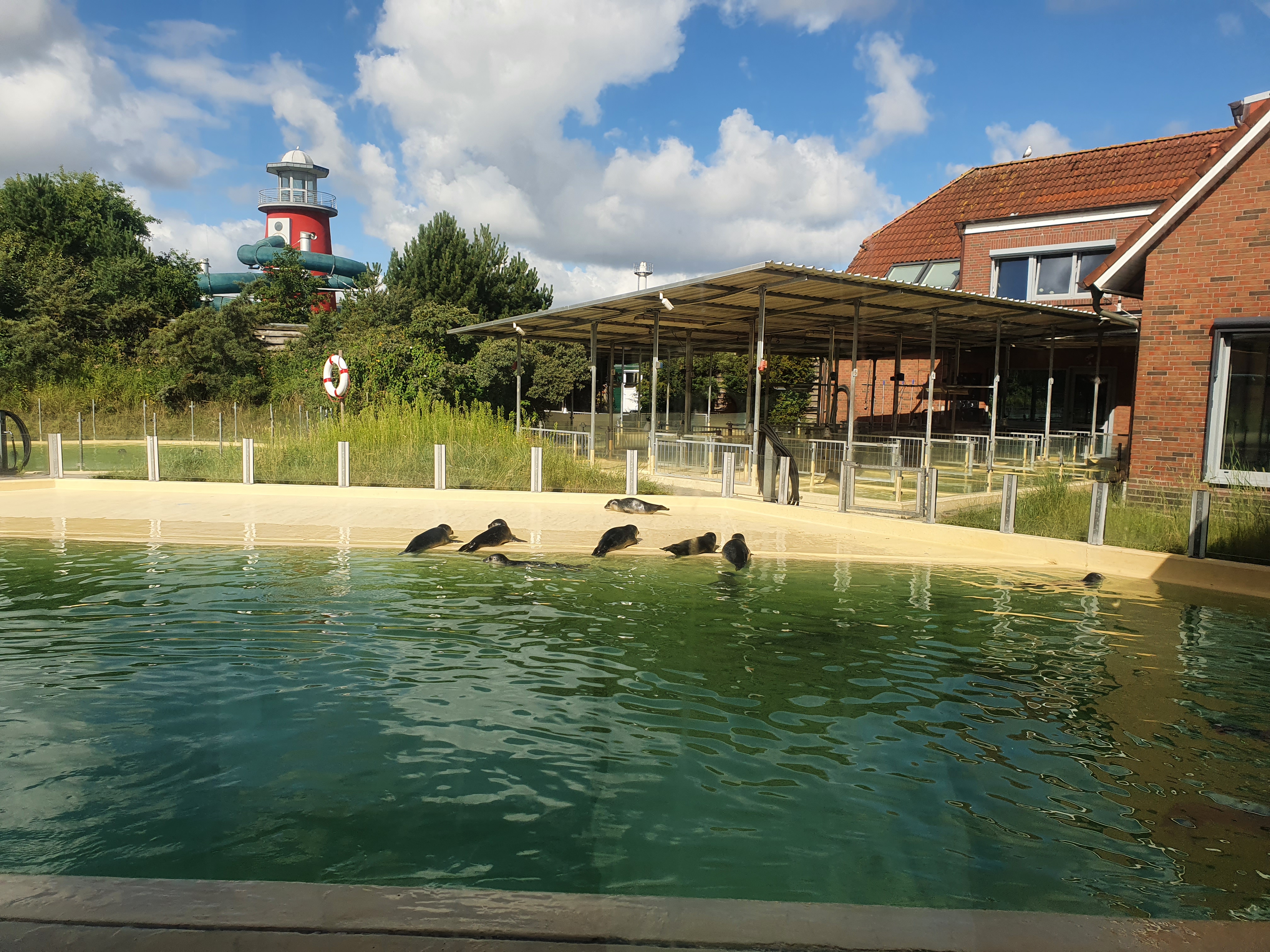 Norddeich Seehundstation