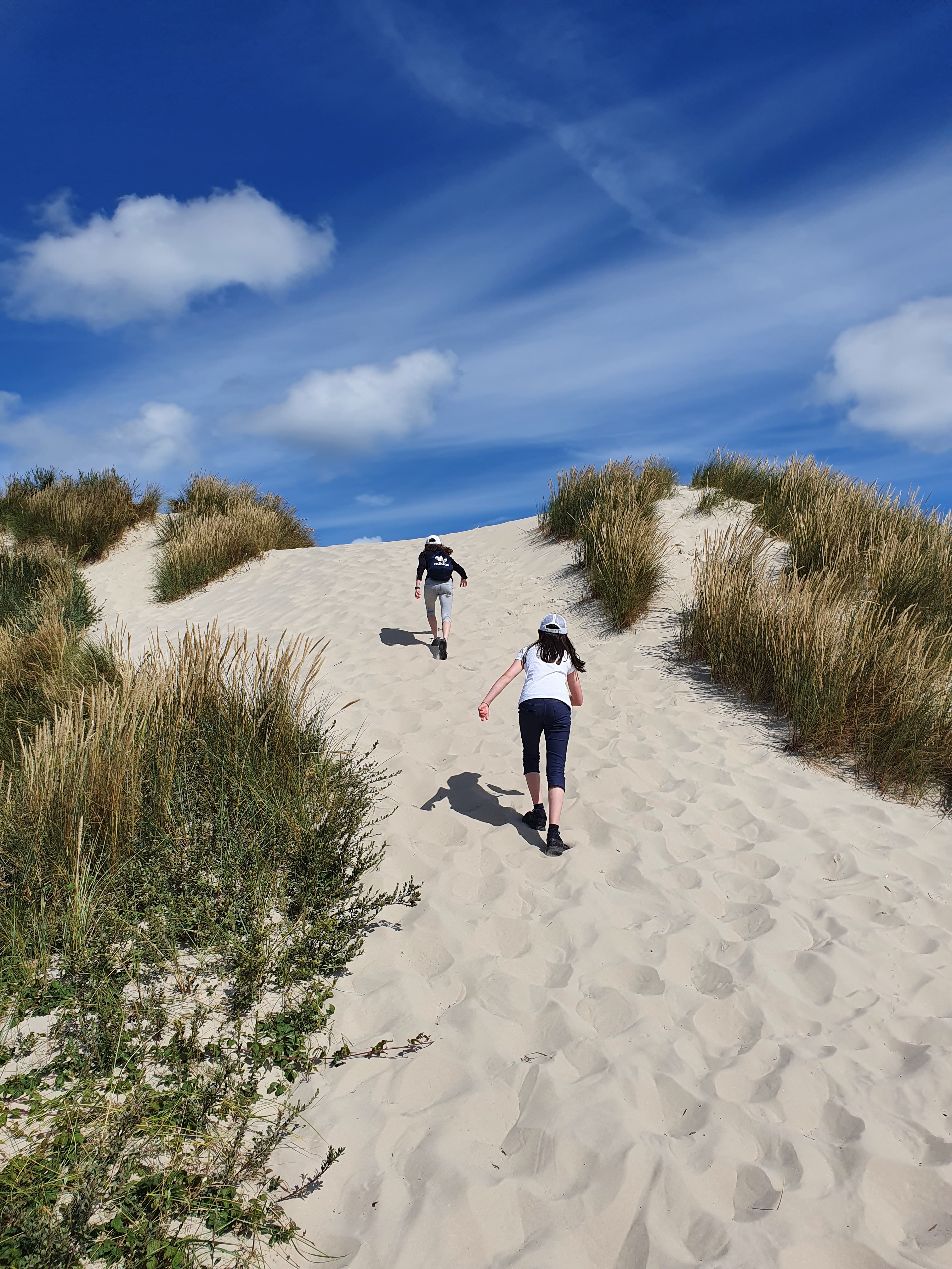 Schiermonnikoog Dünen