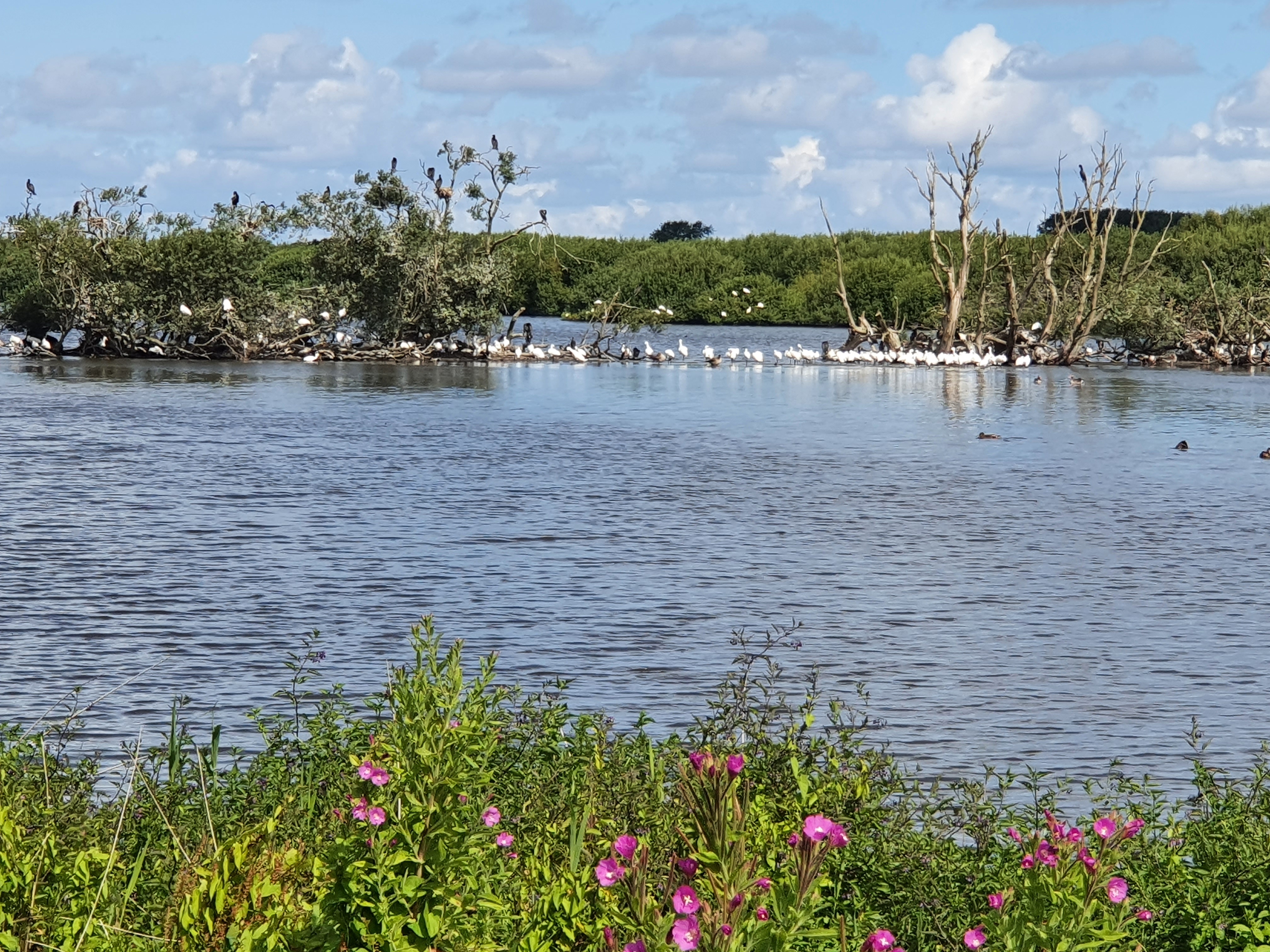 Schiermonnikoog Westerplas