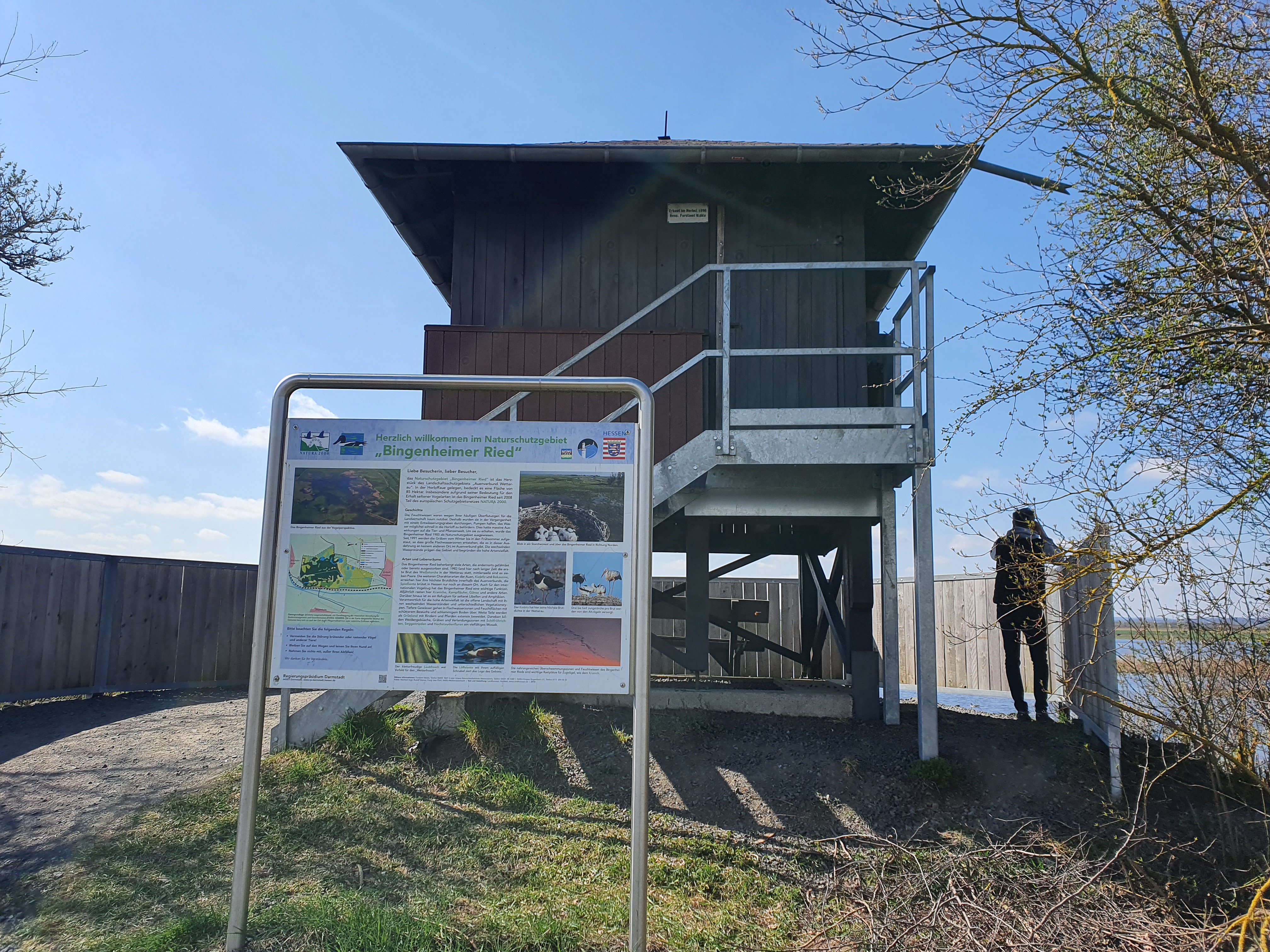 Bingenheimer Ried Aussichtspunkt Ost