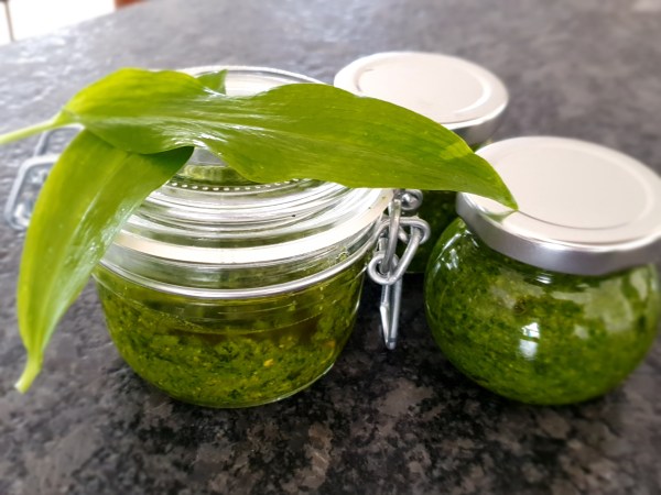 Bärlauch-Pesto
