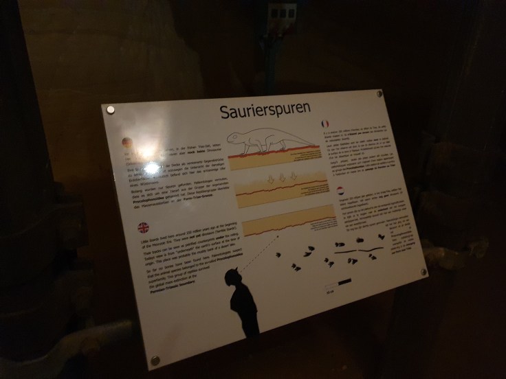 Homburg Schlossberghöhlen Echsenspuren