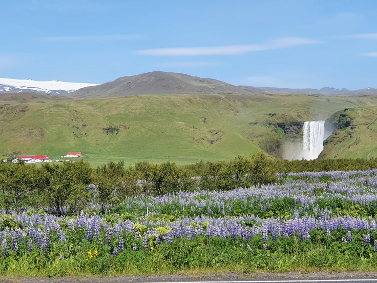 Island Skogafoss mit Gletscher Eyjafjöll im Hintergrund