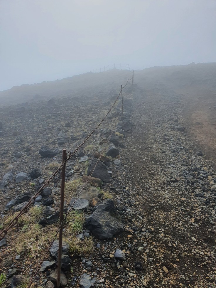 Island Dyrholaey Aufstieg im Nebel
