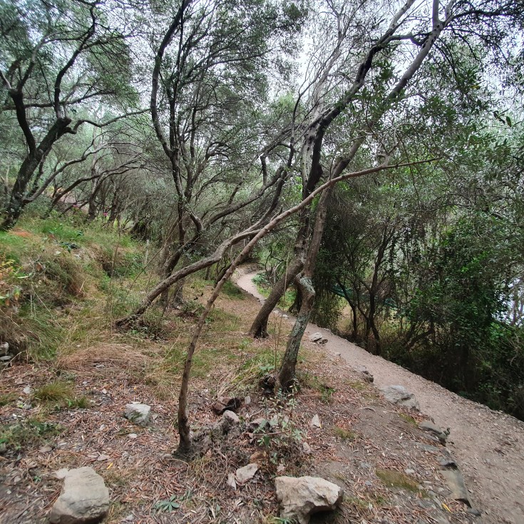 Cinque Terre Sentiero Azzurro zwischen Corniglia und Vernazza