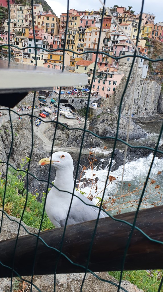 Cinque Terre - Manarola Nessun Dorma