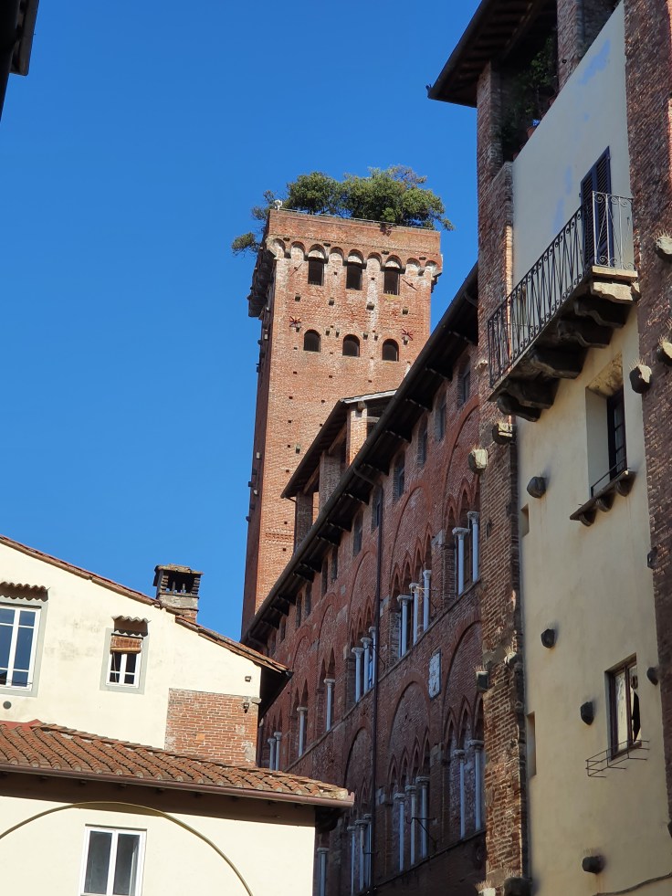 Lucca - Geschlechterturm Guinigiturm mit Steineichen