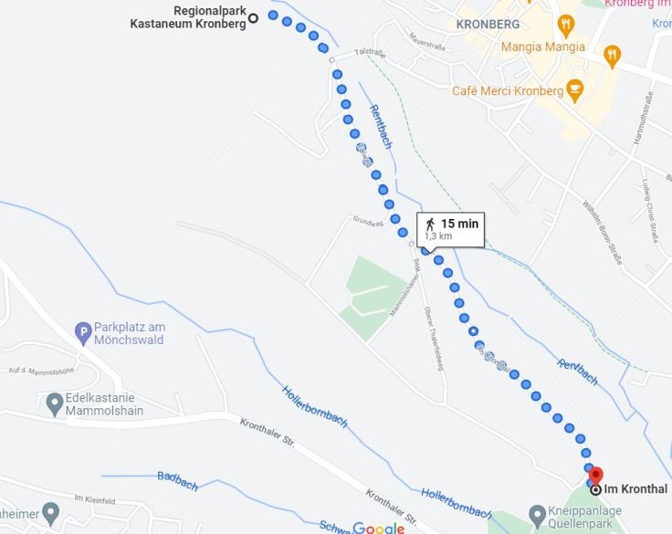 Fußweg Kronthal Kastaneum Kronberg
