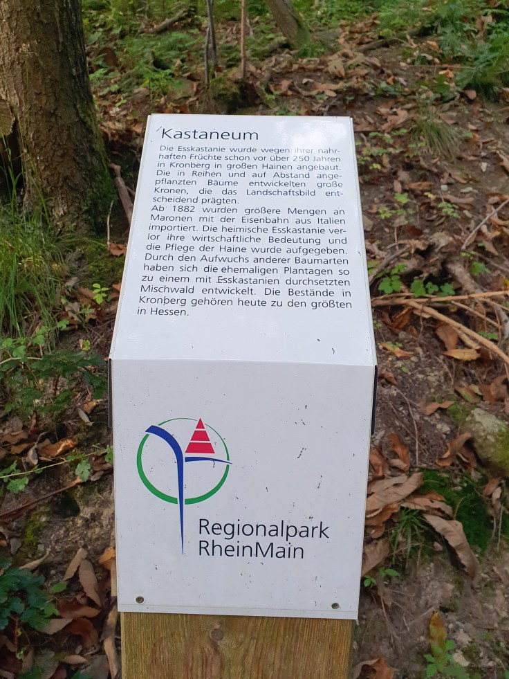 Edelkastanie Maronen Kastaneum Kronberg Infotafel