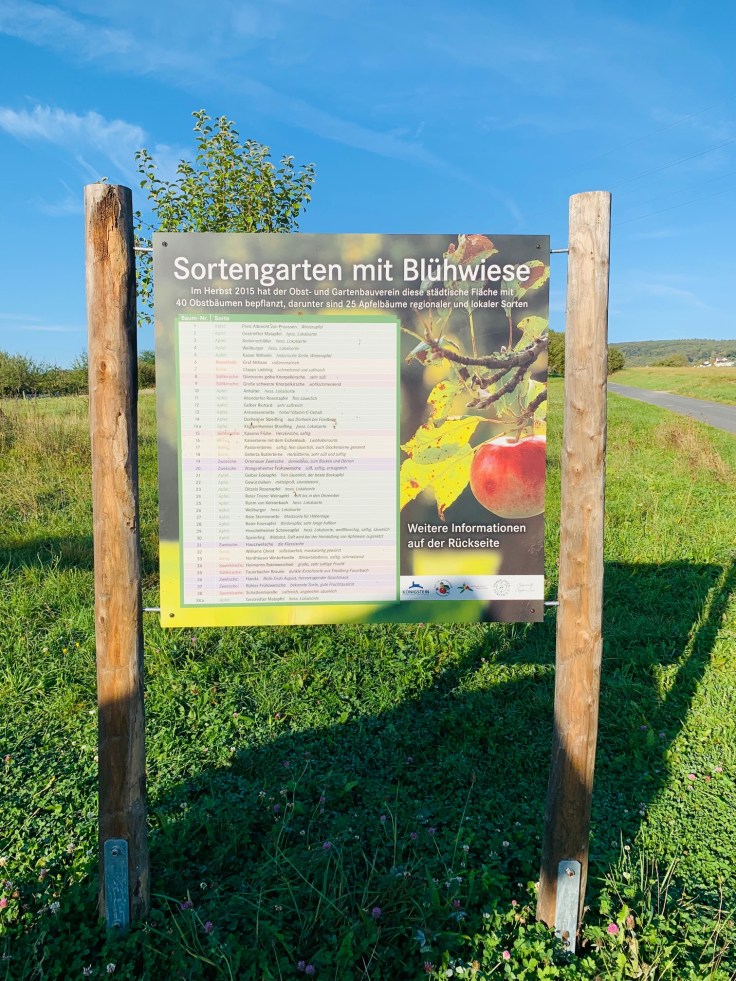 Königstein Mammolshain Apfel-Sortengarten