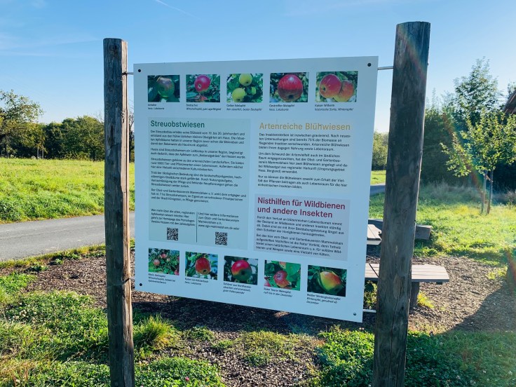 Königstein Mammolshain Apfel-Sortengarten