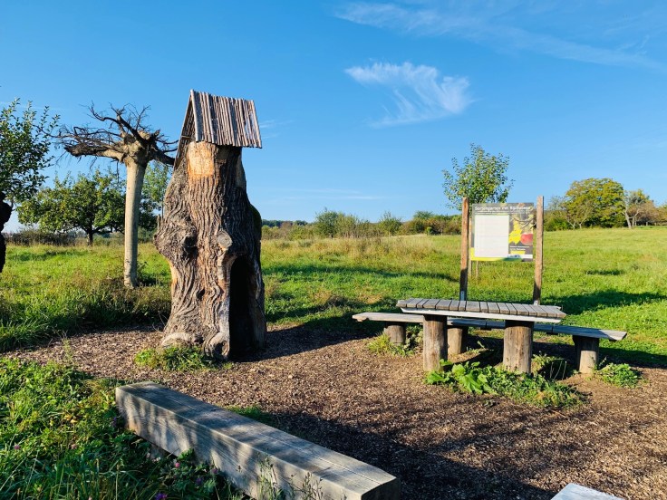 Königstein Mammolshain Apfel-Sortengarten mit Insektenhotel