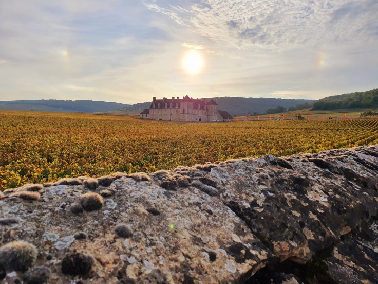 Chateau du Clos de Vougeot