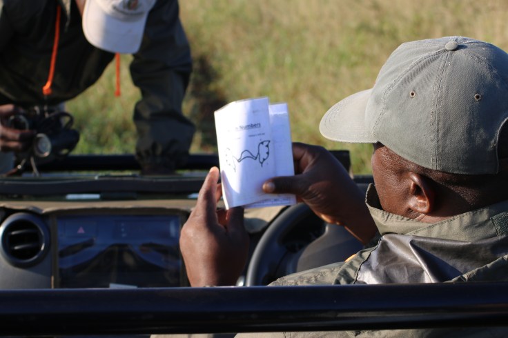 Thanda Kontrollbuch Nashörner