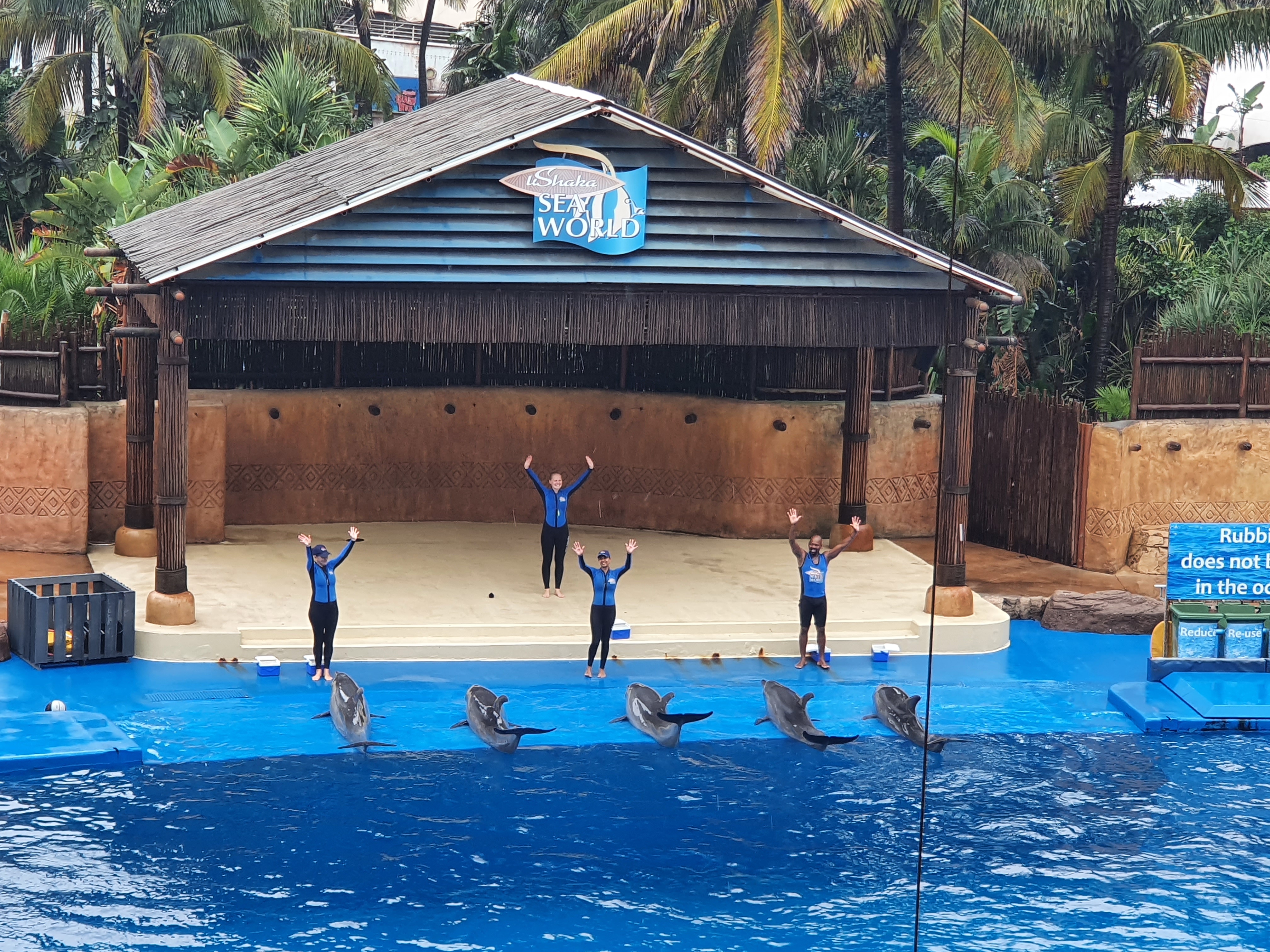 Durban UShaka Marine World Delfinshow