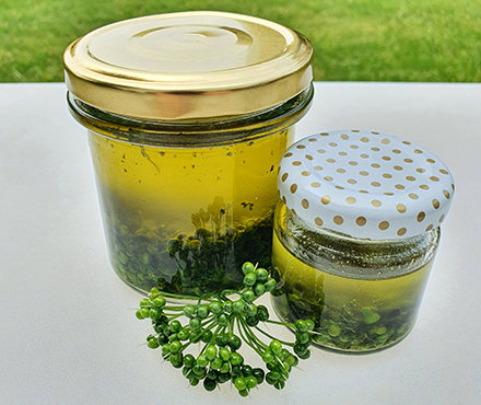 Bärlauch-Samen in Öl NaTourSinn