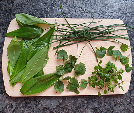 Frühlingskräuter für Wildkräuter-Suppe NaTourSinn