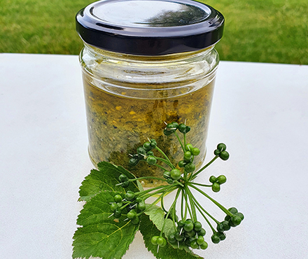 Giersch Bärlauch Samen Pesto NaTourSinn
