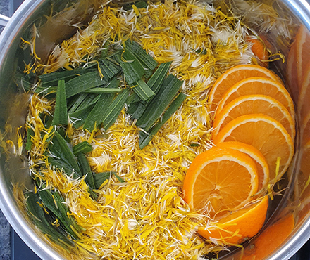 Löwenzahn Honig mit Orange und Spitzwegerich NaTourSinn