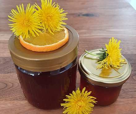 Löwenzahn Honig Sirup mit Orange NaTourSinn