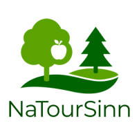 Logo NaToursinn