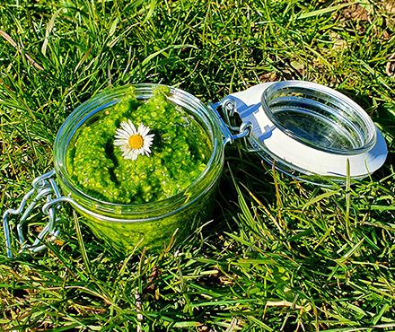 Bärlauch-Pesto NaTourSinn