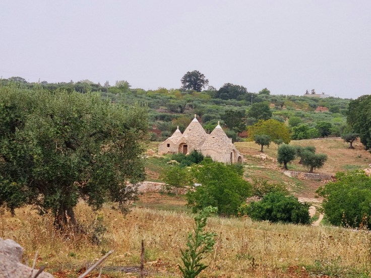 Valle d'Itria Trullo auf dem Feld