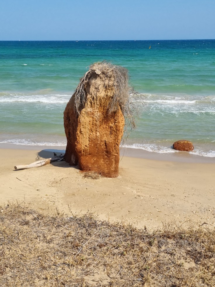 Naturschutzgebiet Torre Guaceto - Strand