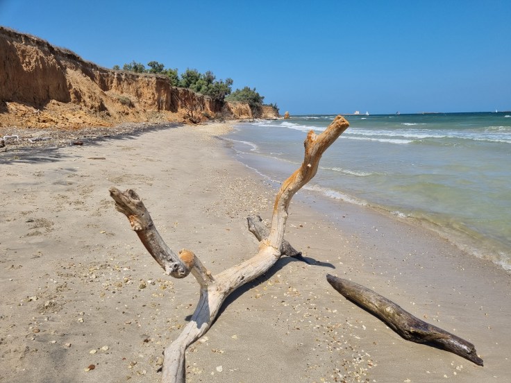 Naturschutzgebiet Torre Guaceto - Strand