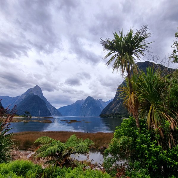 Milford Sound vom Foreshore Walk