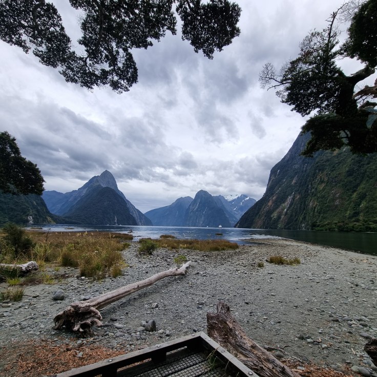 Milford Sound vom Foreshore Walk