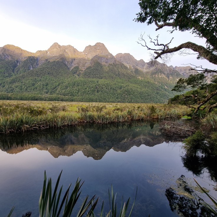 Highway 94 zum Milford Sound - Mirror Lakes