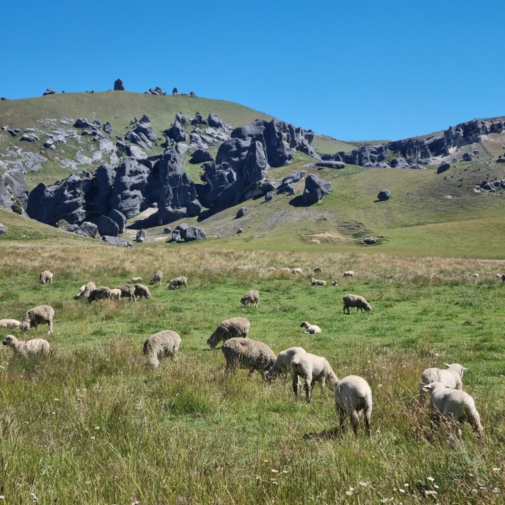 Castle Hill / Kura Tawhiti