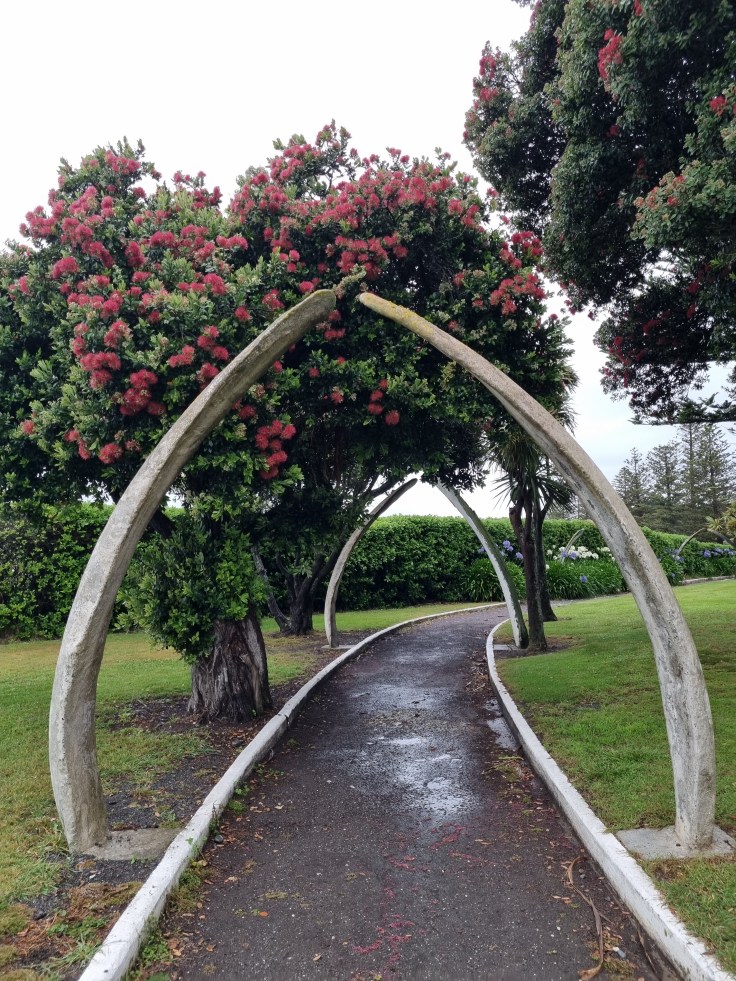 Kaikoura Walfangort Park
