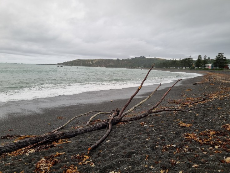 Kaikoura Strand