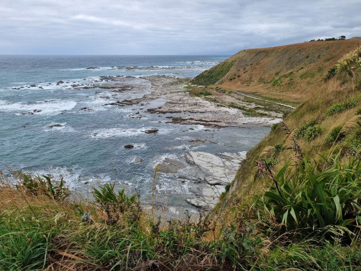 Kaikoura Point Kean Viewpoint