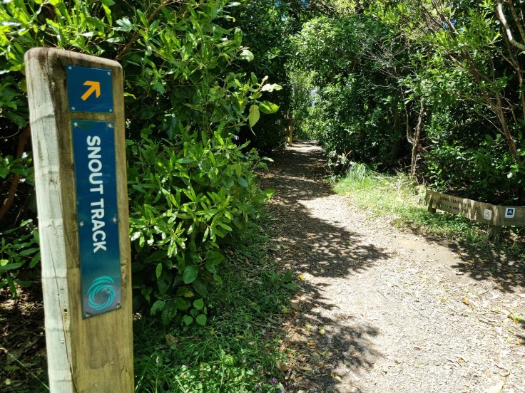 Marlborough Sounds - Snout Track