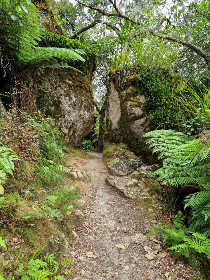 Abel Tasman NP Track